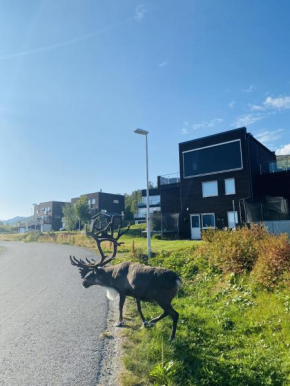 Leilighet i Tromsø